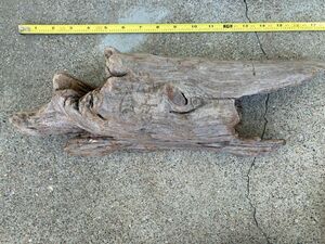 Ohio River Driftwood 17"x5"x3.5"